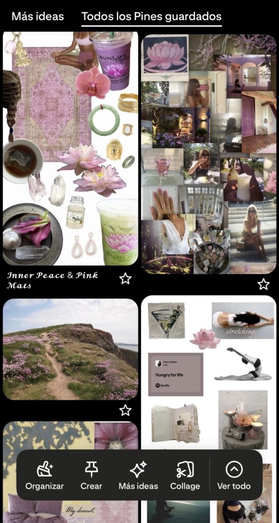 Captura de Pantalla Tablero de Pinterest 