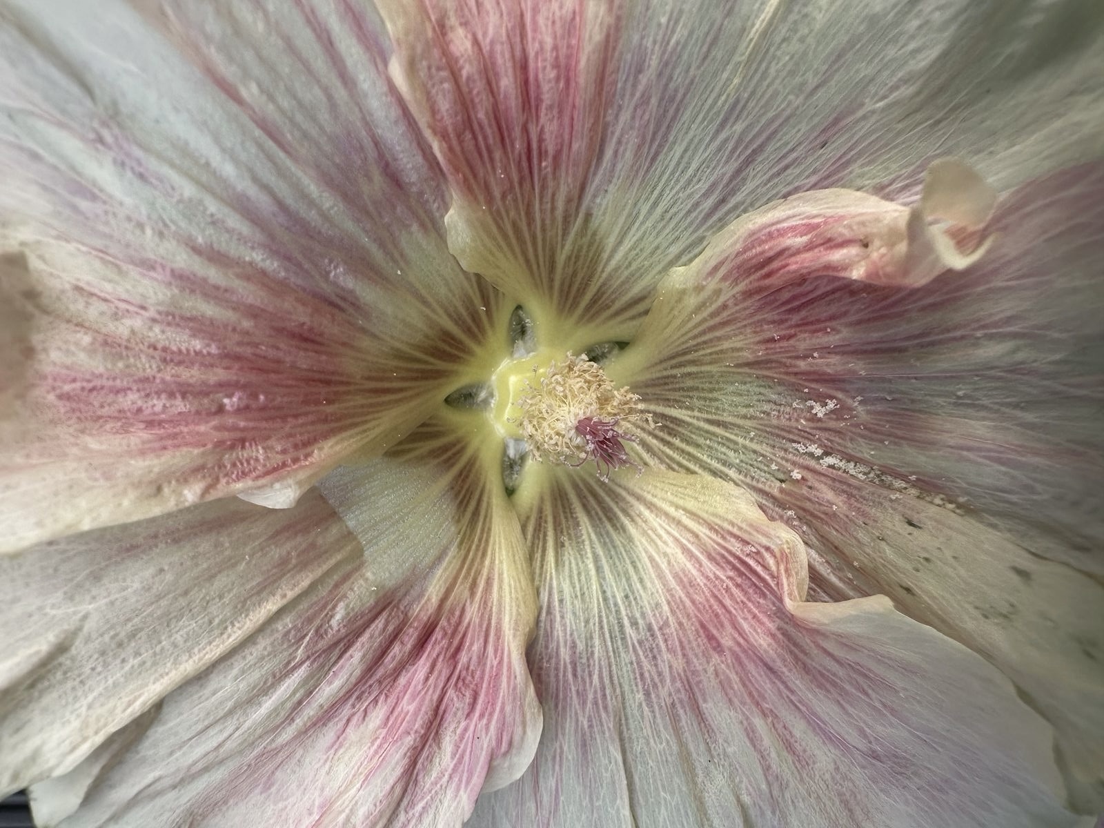 Equinoccio de Primavera: 5 claves para sembrar un nuevo comienzo